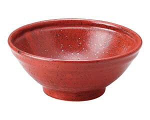 aH 484-118 䂸 蔫^y~[فz