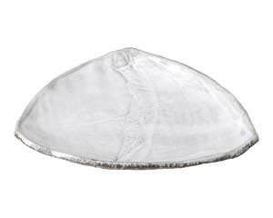 y܂Ƃߔ10ZbgizaH X489-388 і OM()yLZ/ԕiszy~[فz