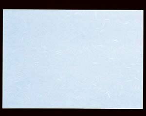 y܂Ƃߔ10Zbgiz I746-148 Rs[paCT-14 u[ B4 (~Vږ)yLZ/ԕiszy~[فz