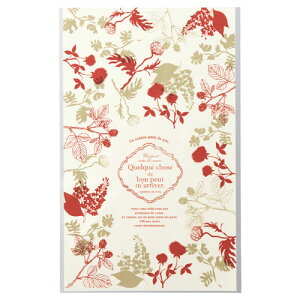 【まとめ買い10個セット品】モダンリラックス OPPギフトバッグ 19×30 50枚 61-262-4-2 【店舗什器 小物 ディスプレー ギフト ラッピング 包装紙 袋 消耗品 店舗備品】【厨房館】