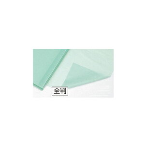 t CgO[ 79×109cm 200 61-281-12-14 ybsOpi  tEsDz tzybsOpi  MtgbsO bsOy[p[  v[g 蕨 G