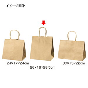 【まとめ買い10個セット品】丸ひもタイプ 茶無地 26×18×28.5 200枚 61-431-24-14 【店舗什器 小物 ディスプレー ギフト ラッピング 包装紙 袋 消耗品 店舗備品】【厨房館】