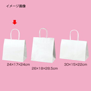 ۂЂ^Cv n 24×17×24 50 61-431-25-1 yX܏Y  fBXv[ Mtg bsO   Օi Xܔizy~[فz