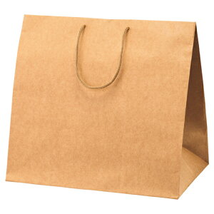 AWobO  44×29.5×42 50 61-310-1-8 ybsOpi  񂰎܁inj  AWobO  bsOpizyX܏Y  fBXv[ Mtg bsO   