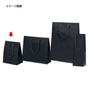 y܂Ƃߔ10ZbgizJ[񂰎  20×12×25 10 61-313-3-1 yX܏Y  fBXv[ Mtg bsO   Օi Xܔizy~[فz