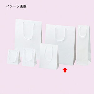 y܂Ƃߔ10Zbgiz񂰎 G{X  25.5×33cm 10 61-313-8-6 y bsOpi bsOV[Y o^CEC[X^[Ew 񂰎 zybsOpi  b