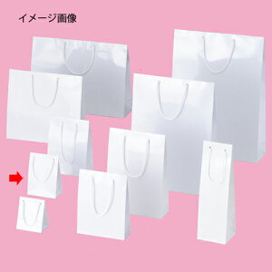 �y�܂Ƃߔ���10�Z�b�g�i�z�u���C�g�o�b�O �z���C�g 12×7×16.5 50�� 61-314-1-16 �y�X�܏Y�� ���� �f�B�X�v���[ �M�t�g ���b�s���O ��� �� ���Օi �X�ܔ��i�z�y�~�[�فz