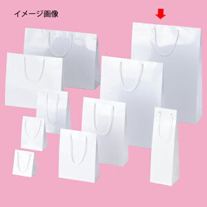 ��񂰎��� �u���C�g�o�b�O�z���C�g38×12×52cm100�� �u���C�_�� 61-314-1-23 �y���b�s���O�p�i ���� ��񂰎��܁i���n�j �R�t�����܃u���C�g�o�b�O�z�y�~�[�فz