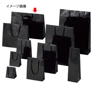 񂰎 uCgobO N 45×12×33cm 10 61-314-2-12 ybsOpi bsOV[Y o^CEC[X^[Ew uCgobO ubNVW}  cL zy~