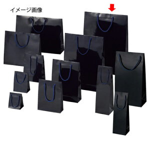 񂰎 uCgobN  38×12×52cm 10 61-314-4-11 ybsOpi bsOV[Y o^CEC[X^[Ew uCgobO VW}  cLzy~[فz