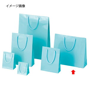 񂰎 uCgobN ATM 33×10×30cm 10 61-314-6-9 ybsOpi bsOV[Y o^CEC[X^[Ew uCgobO ATMVW}  cL Fzy~