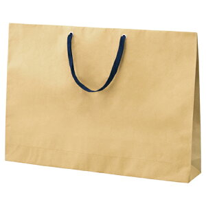 V_[obO x[W Ђ 60×10×42 50 61-317-9-4 ybsOpi  V_[obO  V_[obO x[W Ђ傫߁zyX܏Y  fBXv[ Mtg 