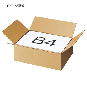 ^b`_{[ 38×27×15 10 61-318-4-4 yX܉^cpi pi _{[EP[X ^b`i{[A4 EB5 EB4zy z z z 蕨 v[g pi Ɩp