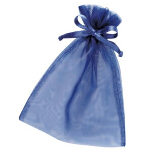 I[KW[|[` lCr[ SS 10 61-269-21-1 yXܔi  bsO  fBXv[X܁zy~[فz