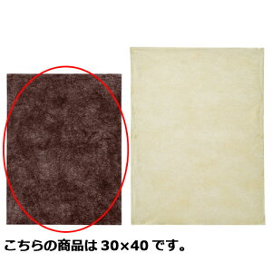 y܂Ƃߔ10ZbgizsDzCi[obOS_[NuE 30×40 100 61-283-11-3 y  tEsDz sDzCi[obO ^Cv zy  bsO Mtg{bNX 