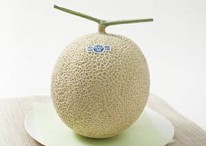 NE@}XNiÉ܈Yj1l@|C11224ȍ~͂s݁EN[ցds