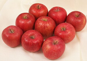 Tӂ񂲁iXYj@SFJA1224ȍ~͂s݁EN[ցds