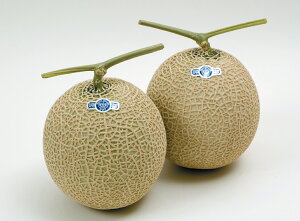 NE@}XNiÉ܈Yj2l@|C21224ȍ~͂s݁EN[ցds