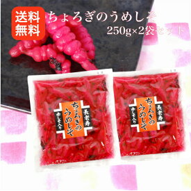 楽天市場 チョロギの通販
