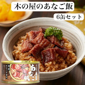 あなご飯（160g）6缶セット あなごご飯 穴子飯 木の屋石巻水産 あなご煮 国内産 あなご アナゴ 穴子 缶詰 ギフト プレゼント 缶つま おつまみ 酒の肴 キャンプ 非常食 ご飯のお供 保存食 郡山銘販 まざっせこらっせ