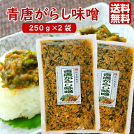 青唐がらし味噌 (250g) 2袋セット ご飯のお供 お酒のおつまみ 青唐 青唐味噌 青唐辛子味噌 青唐からし味…