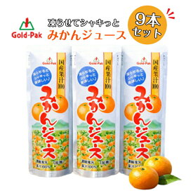 みかんジュース フルーツバー 9本セット ゴールドパック シャーベット みかんジュース みかん ミカン みかんシャーベット みかんアイス ミカンアイス 凍らせて 冷凍フルーツ フルーツバー