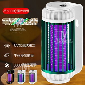 �d���E���� �d���E���@ �����@ ����� �ߒ��� �U�铔 2way �݂艺���E�����u�����p UV�����U�����ߒ��� �R�o�G���@ �d���E���� �R�o�G���� �E���@ �ȃG�l �E�����C�g ��ܕs�v ���Q �q