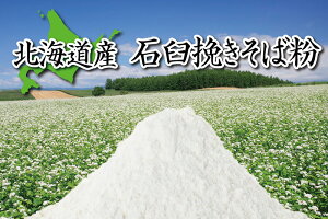 y[zkCY ΉP҂Ε 1kg Ε  Y  Ε Ki Ȃ Αł ł lC N  蕨 Mtg v[g ̓ ̓