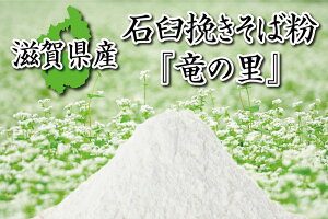 y[zꌧY ΉP҂Ε 1kg Ε  Y  Ε Ki Ȃ Αł ł lC N  蕨 Mtg v[g ̓ ̓