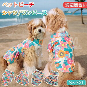  AnVc s[X t ̕  Vc XJ[g hbNEGA ybg  ybgEFA p[J[ ݕt   ʋC _炩 L ^ ^ ^ m 