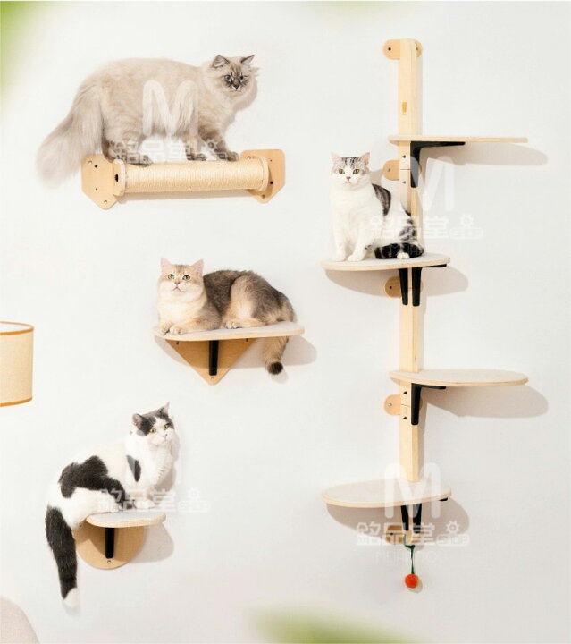 楽天市場】キャットウォーク キャットステップ 壁掛け式猫用ステップ 
