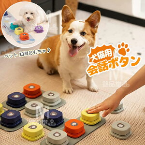 o! p ^{^ b{^ {^ ybg{^ @\|[^u obe[t x R~jP[V g[jO {^ {CXR[_[ P L