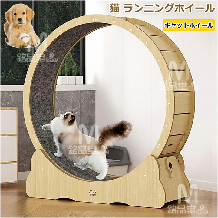 楽天市場】キャットホイール 猫 ランニングホイール キャットウォーク 
