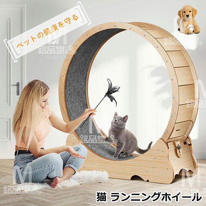 楽天市場】キャットホイール 猫 ランニングホイール キャットウォーク 