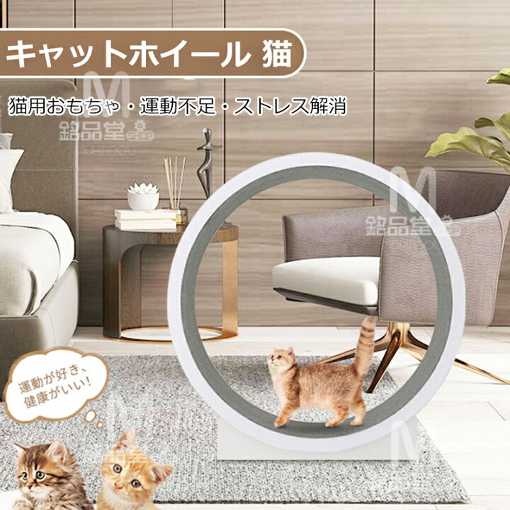 楽天市場】翌日配送 キャットホイール 猫 ランニングホイール キャット 