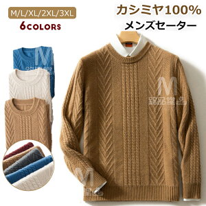 カシミヤ100% メンズセーター・ニット・ベスト | 通販・人気ランキング 