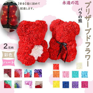 ǒF vU[uht[ ỉ i ͂Ȃ o Mtg KN PEỏ SpPVCP[X hCt[ AW bsOΉ bsO{bNXt ̓ 