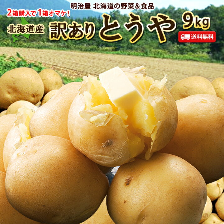 楽天市場】【予約商品】【9月中旬-下旬発送予定】訳あり じゃがいも 