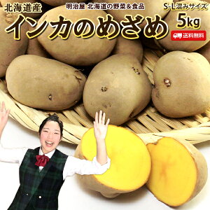 芋 1kgの人気商品 通販 価格比較 価格 Com 芋 1kgの人気商品 通販 価格比較 価格 Com
