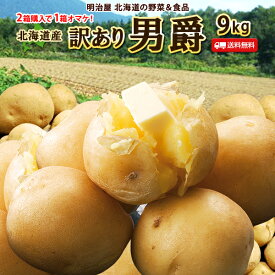 【すぐに発送】訳あり じゃがいも 送料無料 9kg 男爵 北海道産 ニセコ産 低農薬栽培 B品 ジャガイモ 芋 ダンシャク わけあり ワケアリ 野菜 訳男