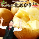 じゃがいも 送料無料 北あかり 9kg 北海道産 羊蹄山麓産 M〜Lサイズ 野菜ギフト 野菜 お歳暮 ジャガイモ 芋 キタアカリ きたあかり 送料込み 混み北