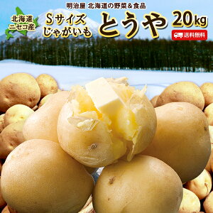訳あり じゃがいも 送料無料 20kg 小さなとうや 北海道産 Sサイズ ジャガイモ 芋 トウヤ わけあり ワケアリ 野菜 Sとうや
