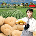 ＼50％OFFクーポン発行中／【予約商品】【10月上旬-中旬お届け】新じゃがいも 送料無料 9kg 男爵 北海道真狩産 ジャガ…
