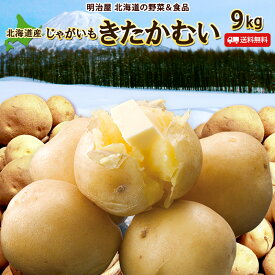 ＼50％OFFクーポン発行中♪／【予約商品】【2月下旬お届け】越冬じゃがいも 送料無料 9kg きたかむい 京極産 北海道産 ジャガイモ 芋 キタカムイ 野菜ギフト 野菜 越冬じゃがいも■きたかむい9●
