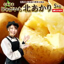 ＼50％OFFクーポン発行中／【予約商品】【9月下旬-10月上旬お届け】新じゃがいも 送料無料 北あかり 5kg 北海道産 羊…