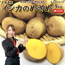 ＼楽天スーパーSALE！半額！／【予約商品】【11月下旬-12月上旬お届け予定】いんかのめざめ 送料無料 9kg 北海道産 小…