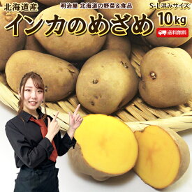 【予約商品】【11月下旬-12月上旬お届け予定】いんかのめざめ 送料無料 10kg 北海道産 小さな栗じゃが じゃがいも ジャガイモ インカのめざめ 芋 送料込み ギフト 野菜ギフト じゃがいも■インカのめざめ10●