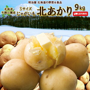 _300~OFFN[|s^y\񏤕izy12{\z VႪk 9kg Ȗ󂠂 STCY kCY jZRY TCY WKC  L^AJ 