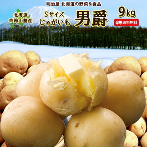 y\񏤕izy11{-{͂z j 9kg Ȗ󂠂VႪ STCY kCY WKC  _VN 񂵂Ⴍ 킯 PA SjjS9