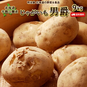 じゃがいも 2kg イモ類の人気商品 通販 価格比較 価格 Com